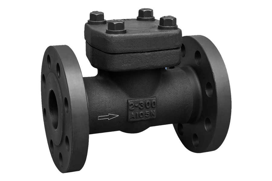 Socket welding globe valve