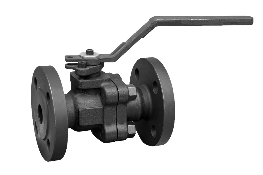 Socket welding globe valve