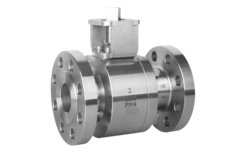 Socket welding globe valve