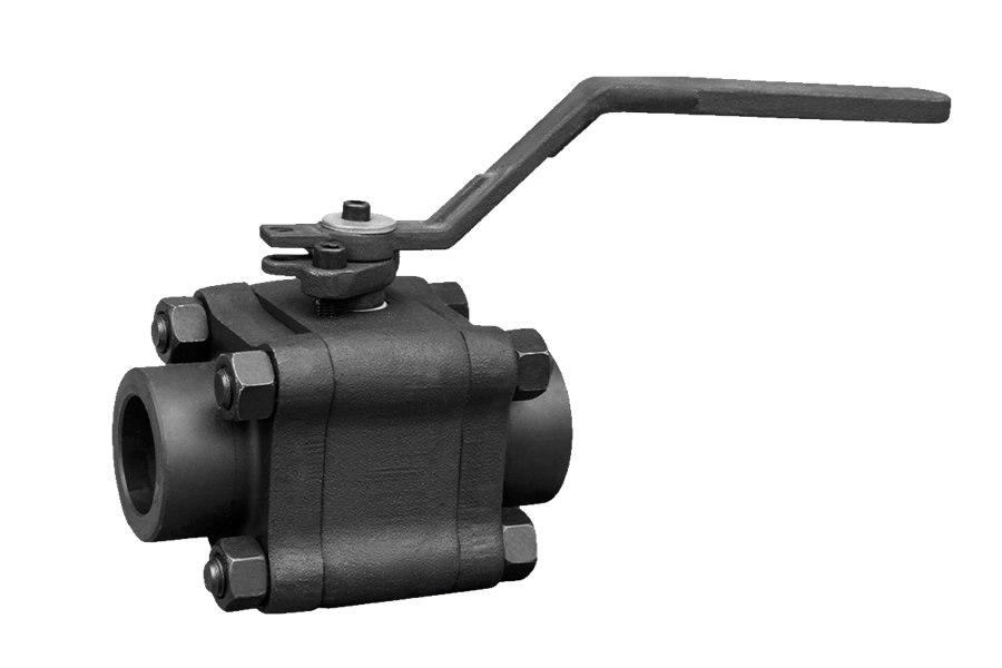 Socket welding globe valve