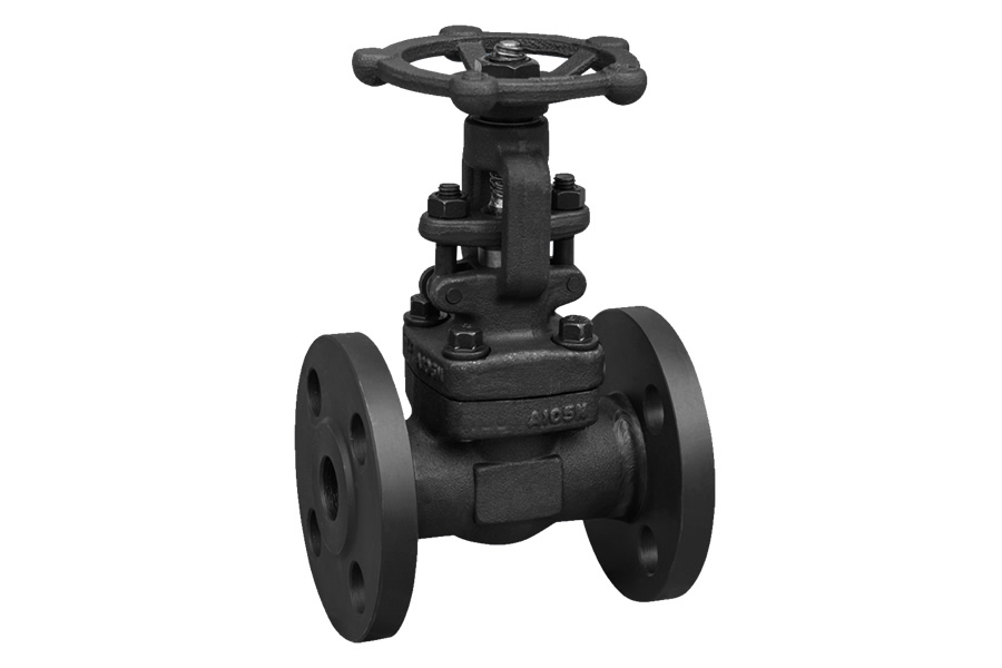 Socket welding globe valve