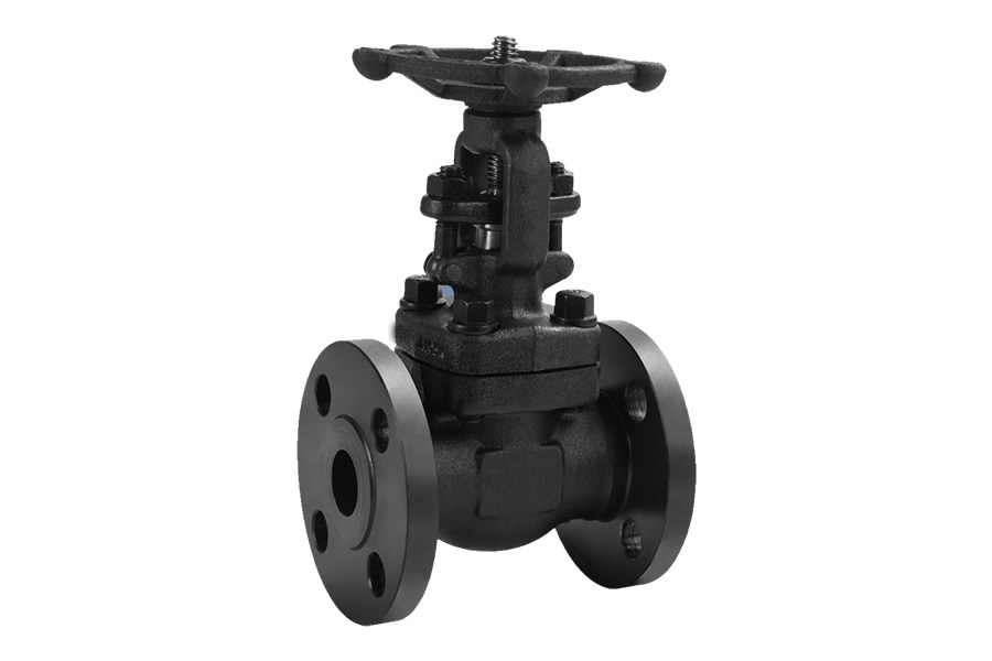 Socket welding globe valve