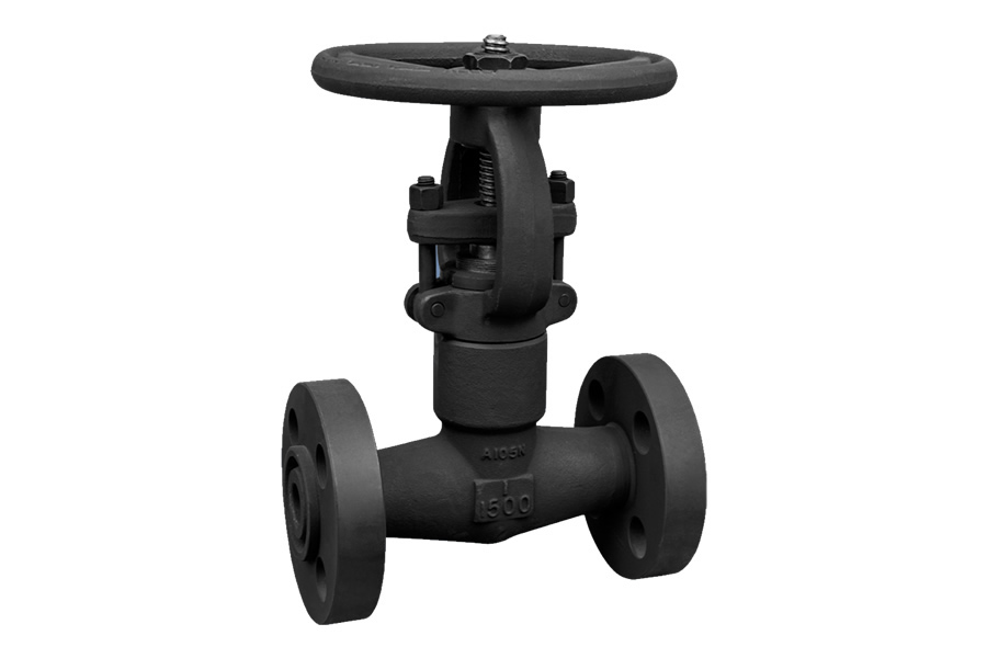 Socket welding globe valve
