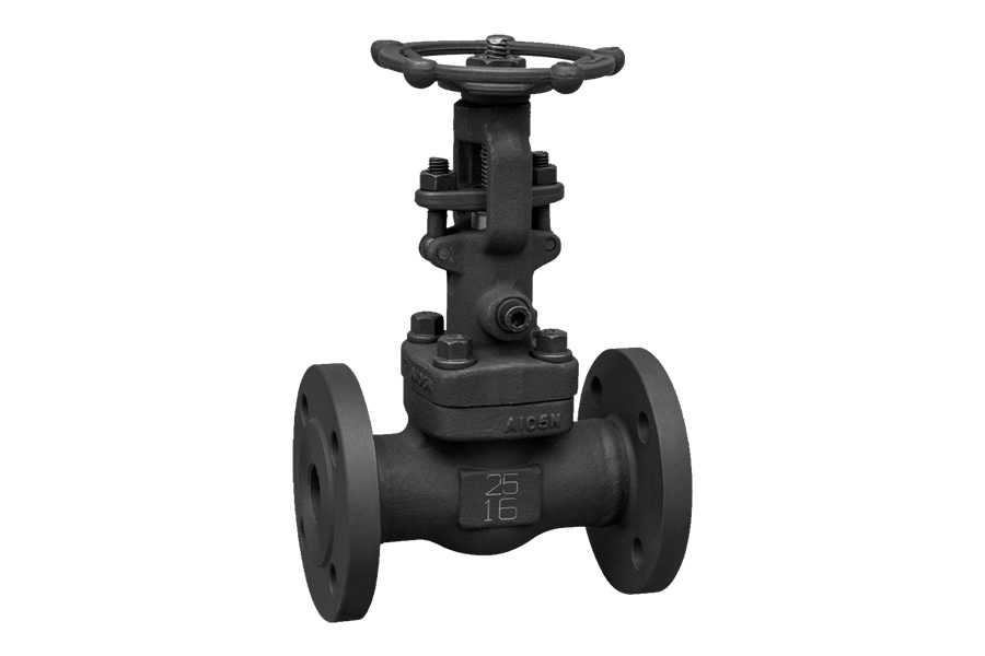 Socket welding globe valve