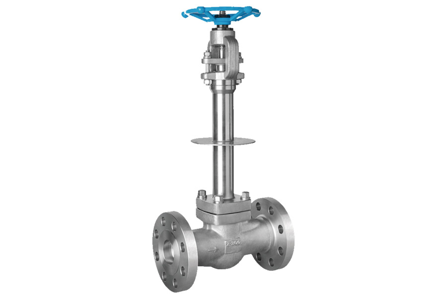 Socket welding globe valve