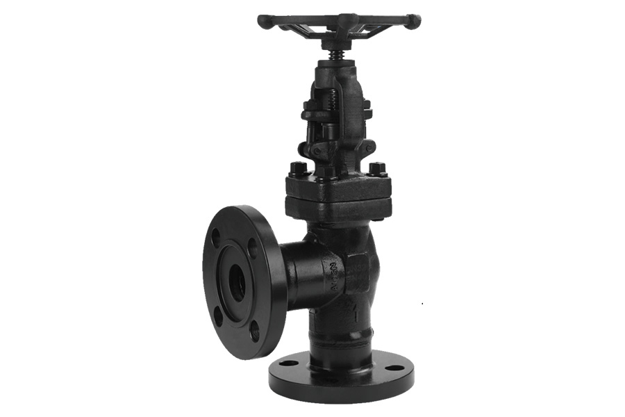 Socket welding globe valve