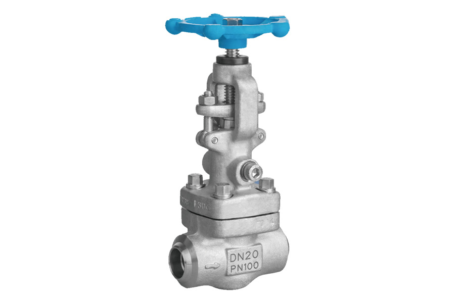Socket welding globe valve