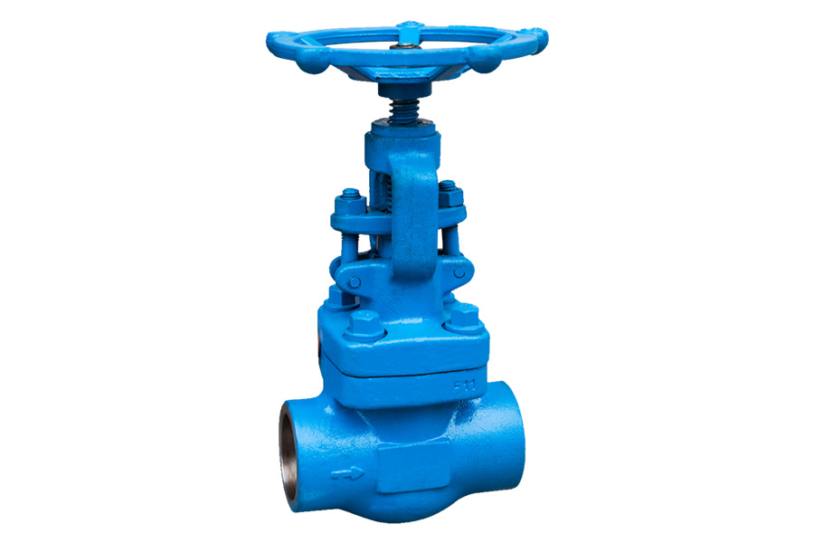 Socket welding globe valve