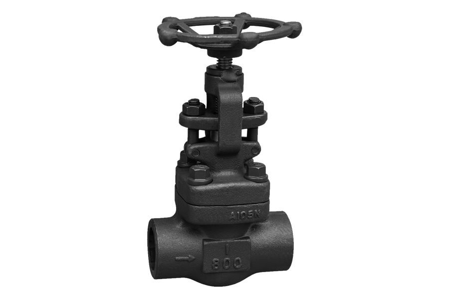 Socket welding globe valve